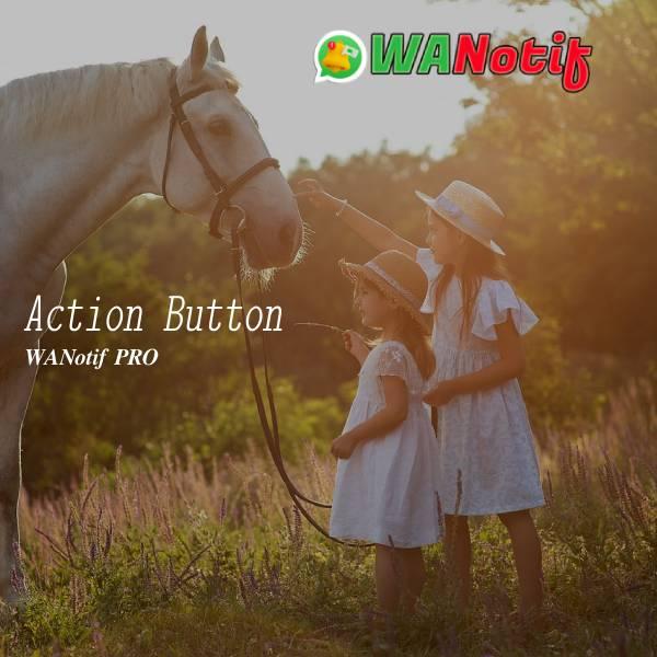 Action Button