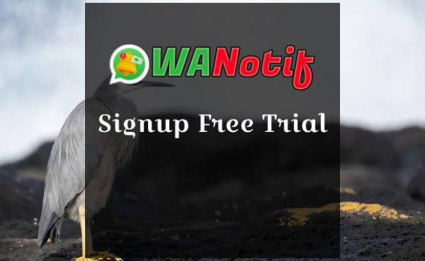 Signup Free Plan