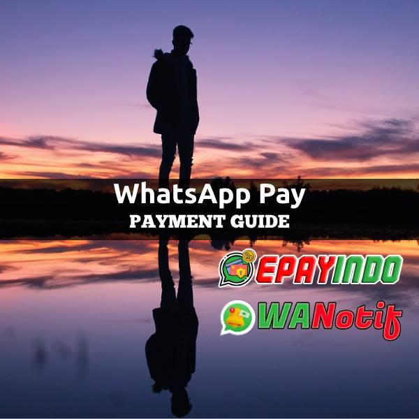 WhatsApp Pay Payment Guide